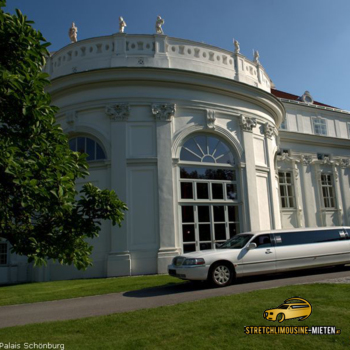 Strechlimousine Innen